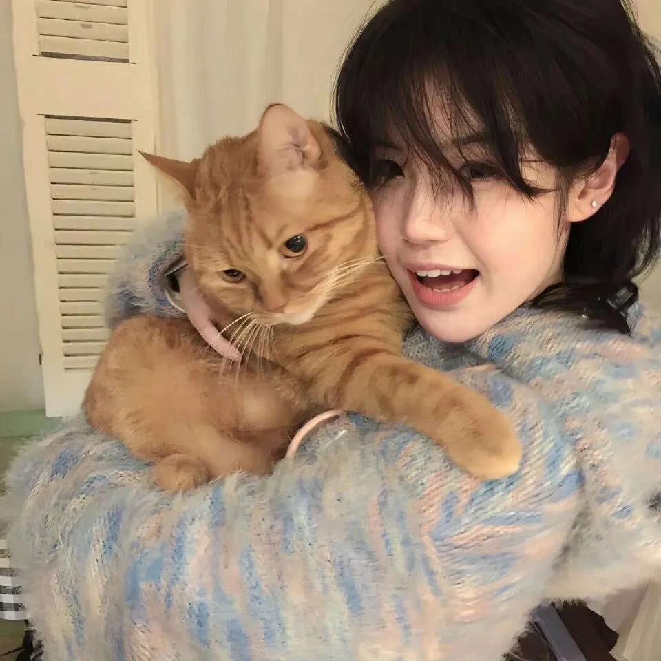 十二猴子第一季